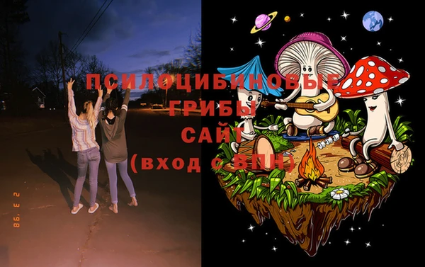 apvp Богородицк