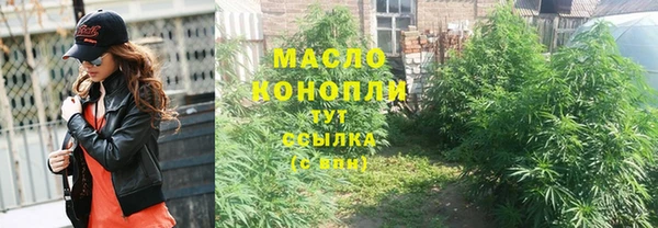 apvp Богородицк