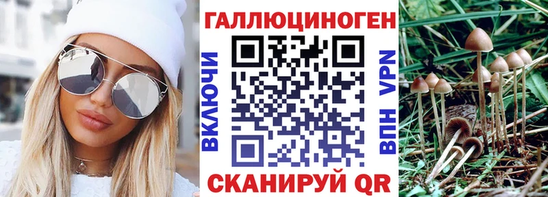 блэк спрут маркетплейс  Великие Луки  Псилоцибиновые грибы Magic Shrooms 